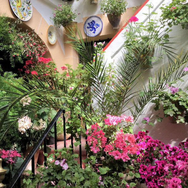 092 Corduba Patio photograph